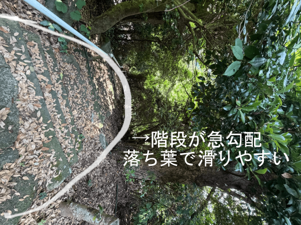 黒島神社の階段を上から撮影した写真